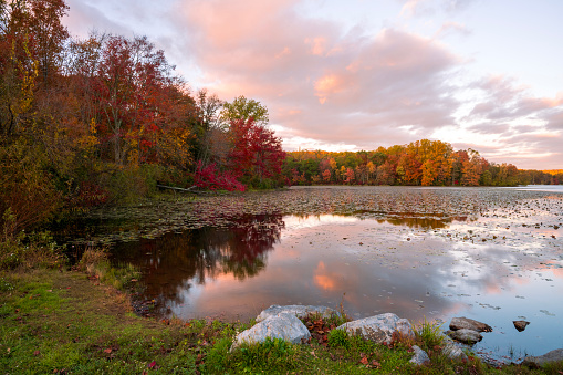 Hopewell Lake in Autumn at Sunset, French Creek State Park, Elverson, Pennsylvania, USA