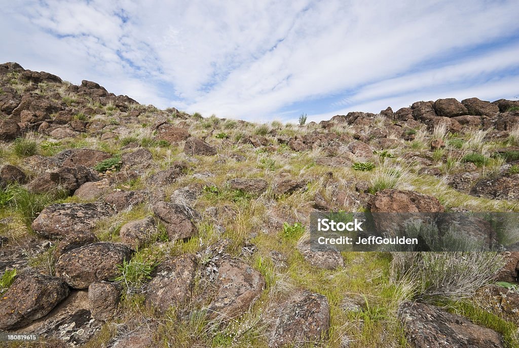 Boulder pole na Cowiche Ridge - Zbiór zdjęć royalty-free (Ameryka Północna)