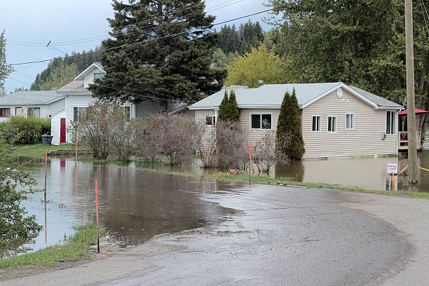 River Flood "A photograph of the Fraser River in Prince George, British Columbia, Canada that has flooded its bank." prince george photos stock pictures, royalty-free photos & images