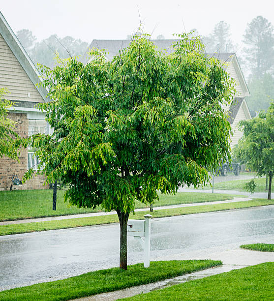 istock Torrential Rain During Summer Storm 180819968