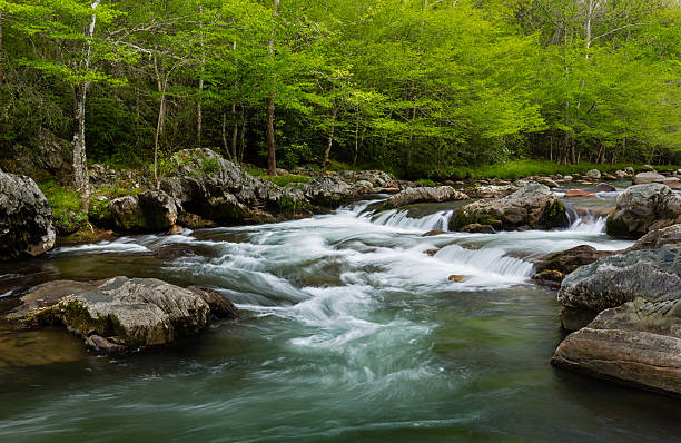 산 스트림 - spring stream landscape boulder 뉴스 사진 이미지