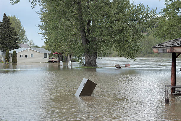 River Flood "A photograph of the Fraser River in Prince George, British Columbia, Canada that has flooded its bank." prince george photos stock pictures, royalty-free photos & images