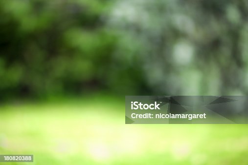istock Trees and Grass 180820388