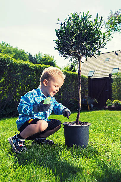 Little boy is about to plant a tree