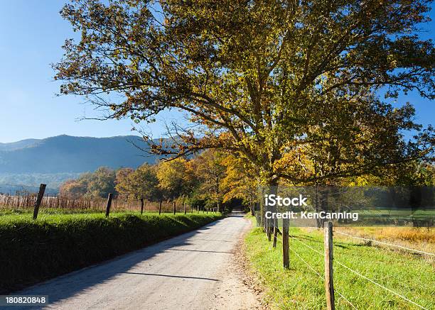 Outono Estrada Secundária - Fotografias de stock e mais imagens de Estrada em Terra Batida - Estrada em Terra Batida, Parque nacional das montanhas de Smoky, América do Norte
