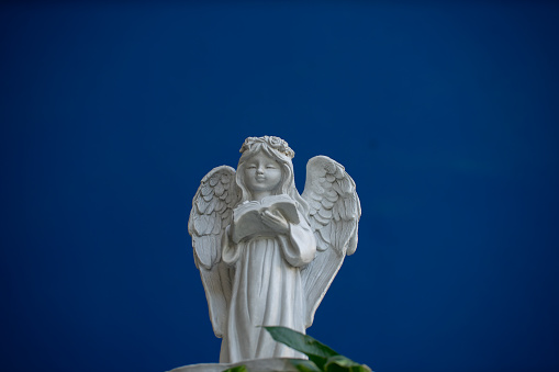 Angel statue still life