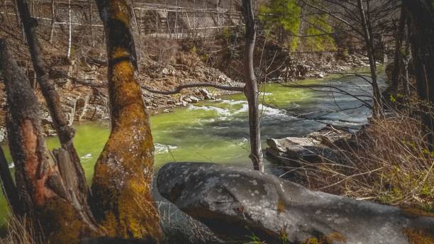 istock View from the river bank on fast and powerful water stream flowing in mountains 1808217772