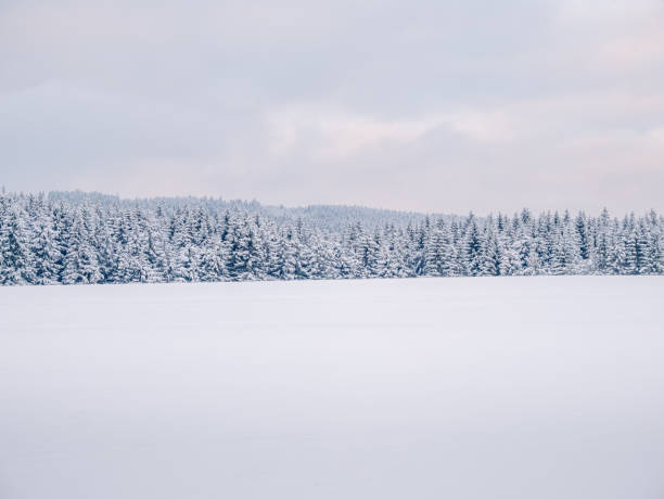 istock Winter scenic snowy cloudy landscape 1808219239