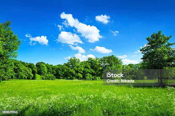 風景の夏雲模様 - カラー画像のストックフォトや画像を多数ご用意 - カラー画像, 人物なし, 公園