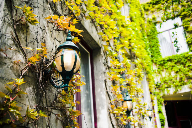 istock Garden - Bruges, Belgium 180822214