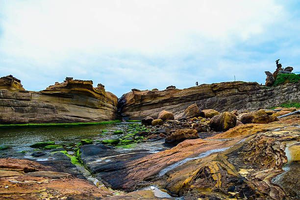 The rock garden