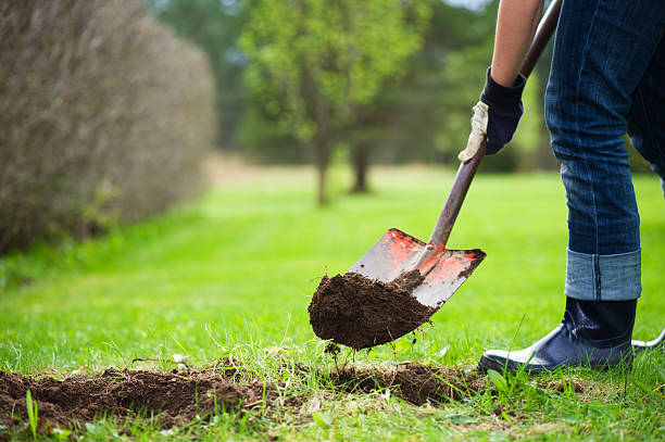 Digging hole "Gardening, digging ground with a shovel." digging stock pictures, royalty-free photos & images
