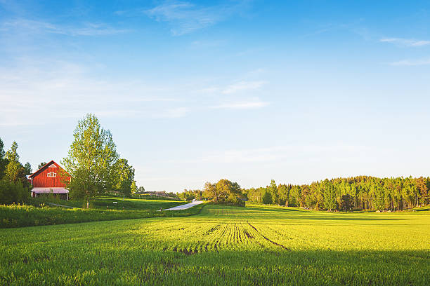 istock Rural scene in Sweden 180822648