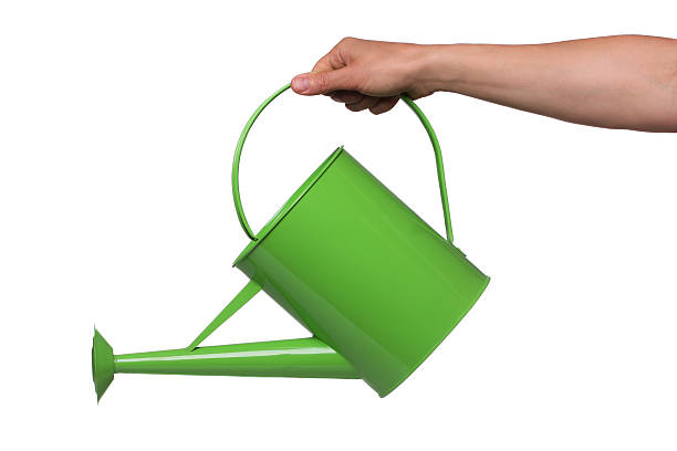 Green Watering Can Hand with watering can isolated on white background. watering can photos stock pictures, royalty-free photos & images