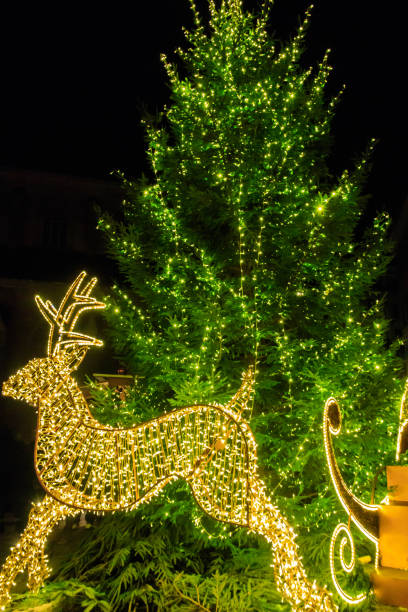 istock Christmas reindeer near decorated Christmas tree with multi-colored lights at night 1808229468