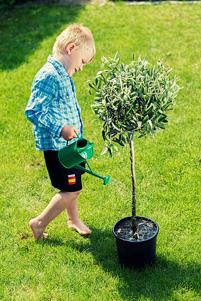istock Happy boy uses watering can to make plant grow 180823454