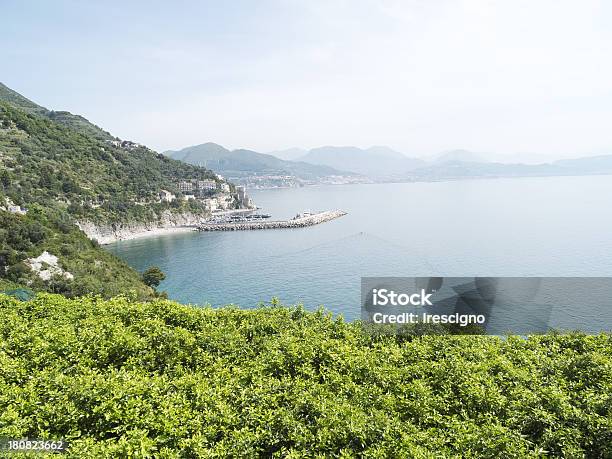 Costiera Amalfitanacetaraitalia - Fotografie stock e altre immagini di Albero di limone - Albero di limone, Amalfi, Ambientazione esterna
