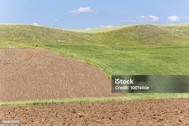 Foto de Campo Verde E Unplowed Área e mais fotos de stock de Agricultura - Agricultura, Ajardinado, Ancara - Turquia