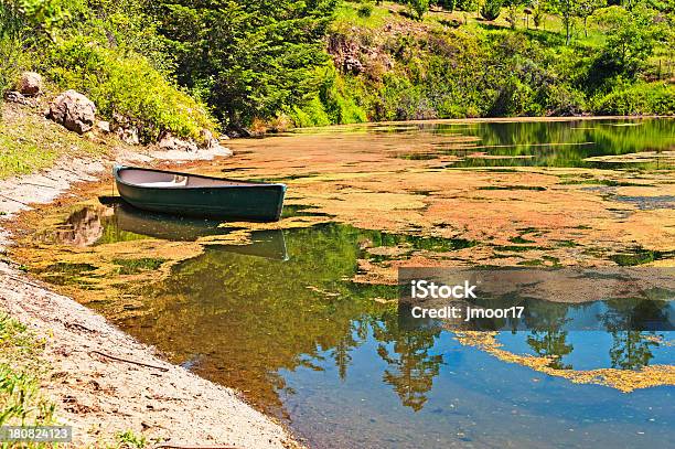 Laghetto Con Barca A Remi - Fotografie stock e altre immagini di Acqua - Acqua, Albero, Ambientazione esterna