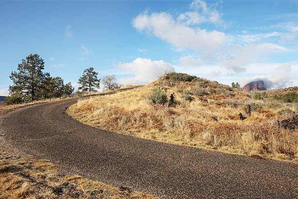istock Desert Country Road Landscape 180824243