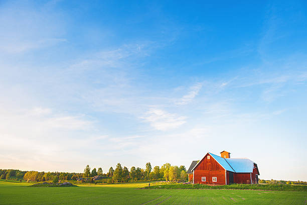 escena rural en suecia - farm barn fotografías e imágenes de stock