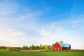 Rural scene in Sweden