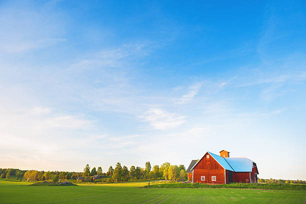 krajobraz wiejski w szwecji - farm barn zdjęcia i obrazy z banku zdjęć