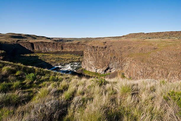 Palouse River Canyon At the end of the last ice age, the great Missoula Flood swept across eastern Washington leaving the unique scablands we see today. Palouse Falls, 198 feet high, remains as one of the magnificent remnants of the flood. As of February 12, 2014, Palouse Falls was named as Washington State's official waterfall. The powerful waterfall is on the Palouse River, a few miles upstream from its confluence with the Snake River. This view of the Palouse River Canyon was captured from Palouse Falls State Park, Washington State, USA. jeff goulden palouse stock pictures, royalty-free photos & images