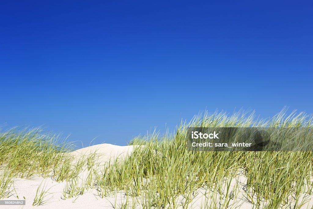 Dunas de areia com grama em um dia claro - Foto de stock de Duna royalty-free