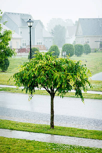 istock Torrential Rain During Summer Storm 180824858