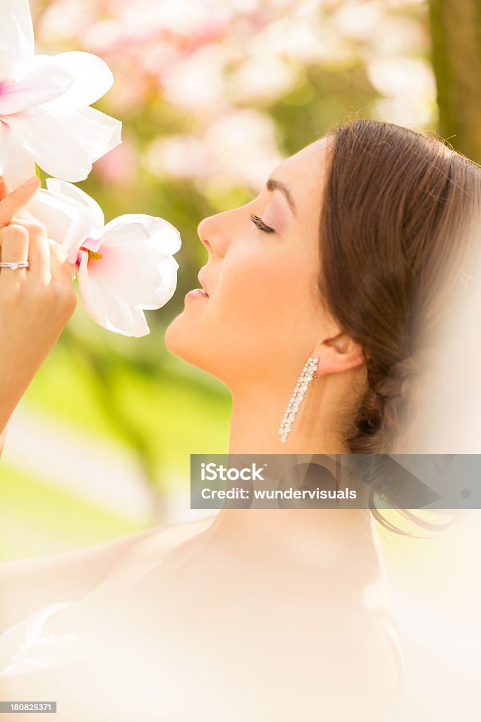 Mariée odeur de fleur de magnolia - Photo de Magnolia libre de droits