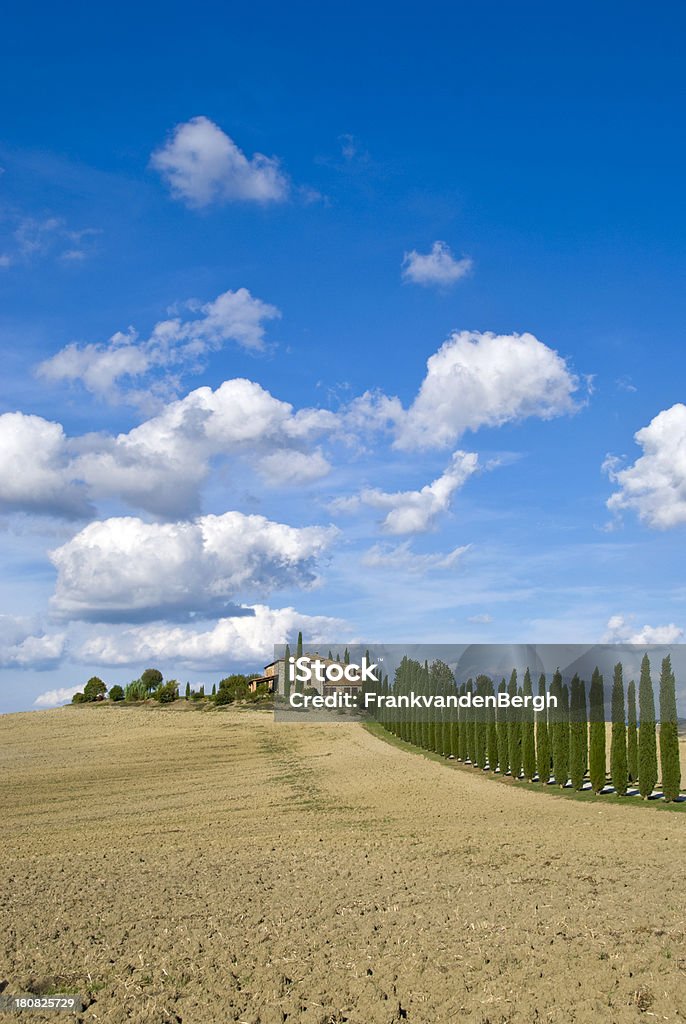 Traditional Tuscan Countryside Cypress lane leading to a farm house. Agricultural Field Stock Photo