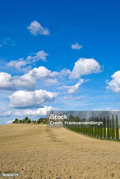 Traditional Tuscan Countryside Stock Photo - Download Image Now - Agricultural Field, Agriculture, Autumn