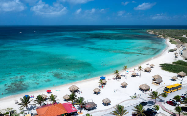 Flamingos standing close to the sea on a beach in Aruba.