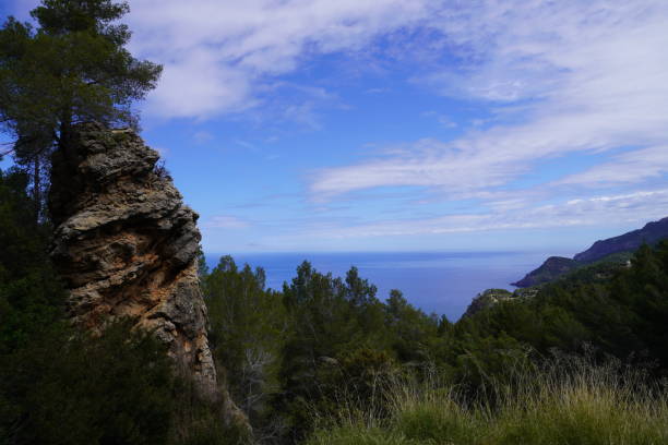 istock View to the horizon with trees and a big rock. 1808260091