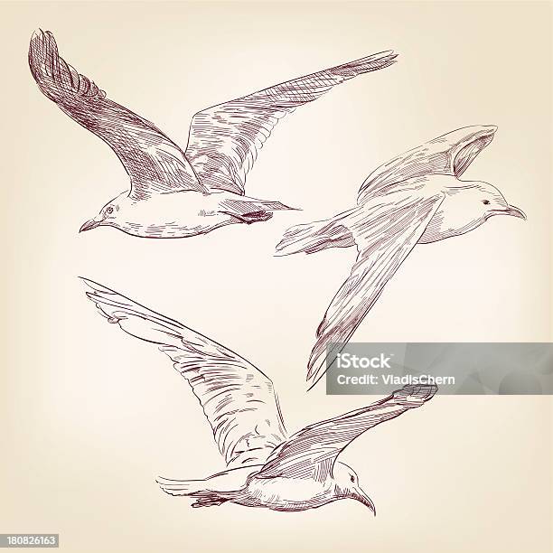 Seagulls Set Hand Drawn Vector Llustration Stock Illustration - Download Image Now - Engraved Image, Seagull, Abstract