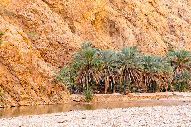 wadi al shab - oasis wadi al shab valley canyon zdjęcia i obrazy z banku zdjęć