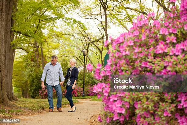 Photo libre de droit de Couple Dâge Mûrvous À Pied Dans Le Parc banque d'images et plus d'images libres de droit de Activité de loisirs - Activité de loisirs, Adulte, Amitié