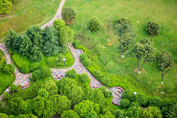 istock Miniature green garden 180826771