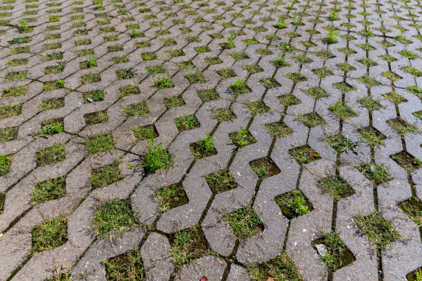 istock a modern concrete tile that allows plants to grow 1808268293