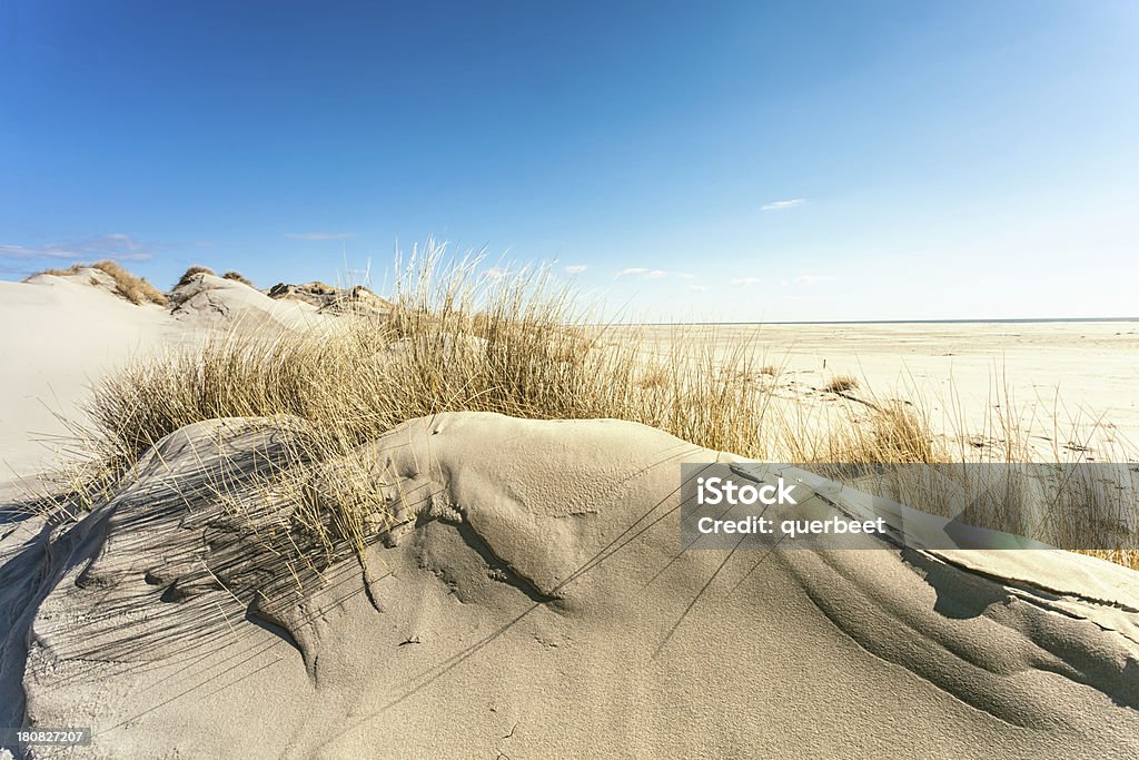 Dune Landschaft Amrum - Lizenzfrei Sanddüne Stock-Foto