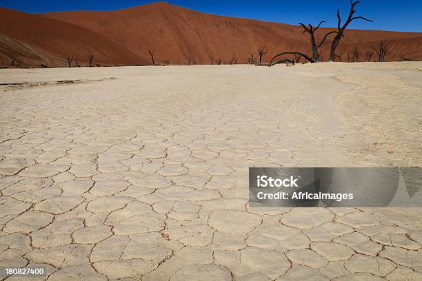 Incrinato Terra Deadvlei Namibia Africa - Fotografie stock e altre immagini di Acacia - Acacia, Africa, Albero