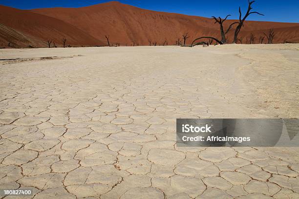 Foto de Rachado Terra Deadvlei Namíbia África e mais fotos de stock de Acácia - Acácia, Azul, Cena de tranquilidade