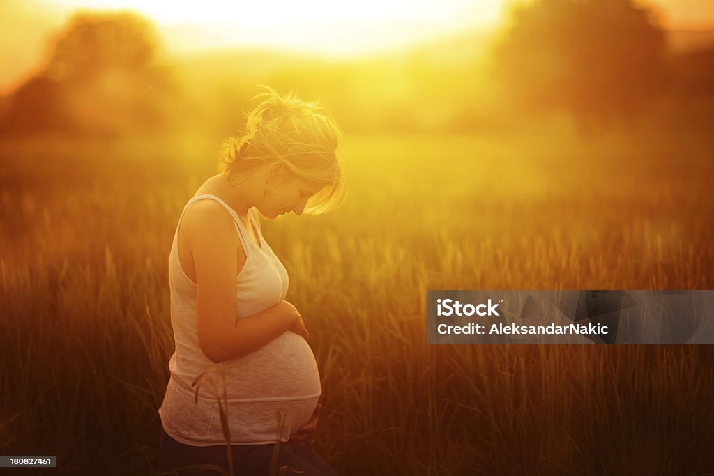 El embarazo - Foto de stock de Embarazada libre de derechos