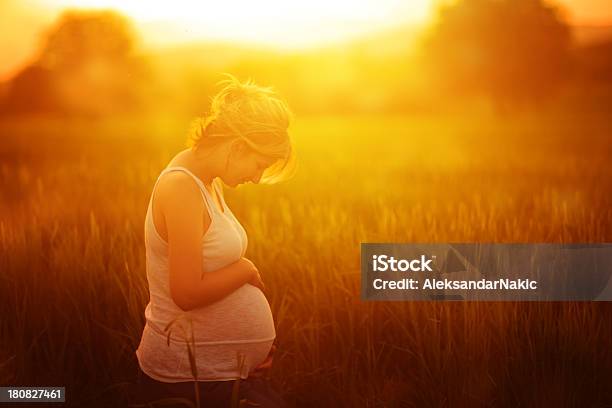 El Embarazo Foto de stock y más banco de imágenes de Embarazada - Embarazada, Mujeres, Retro