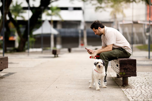 istock Man sitting on a park bench with his dog 1808275288