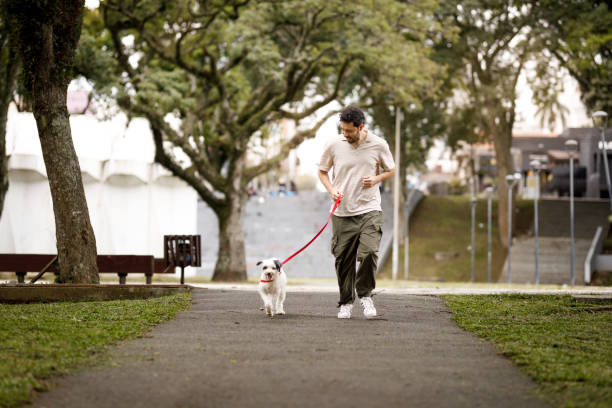 istock man walking with his dog at the park 1808275289