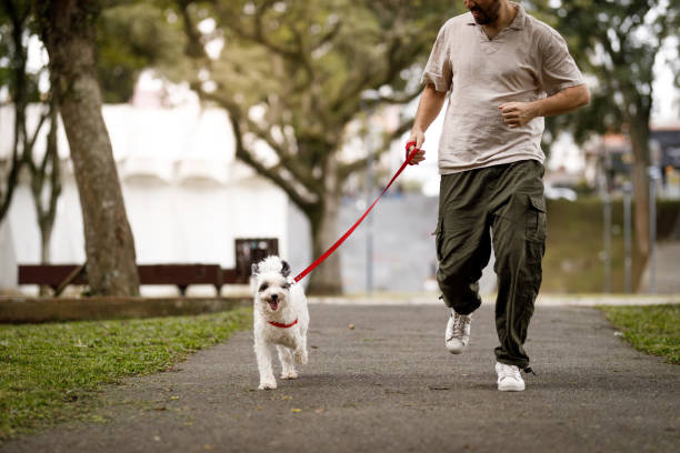 istock Man running with his dog on the park 1808276398