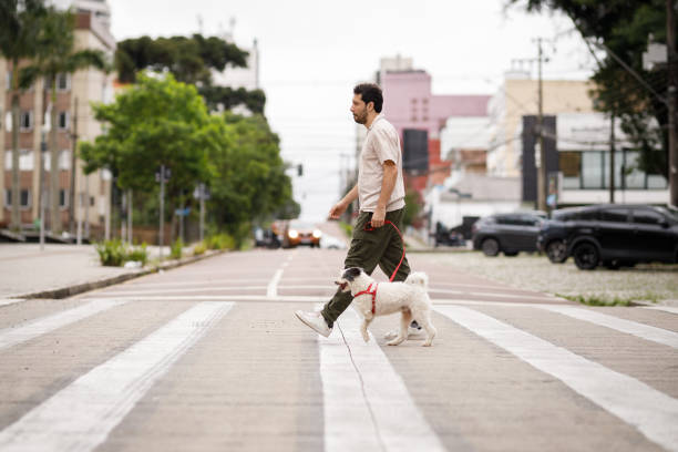 istock Dog going on a walk with it's owner 1808276932
