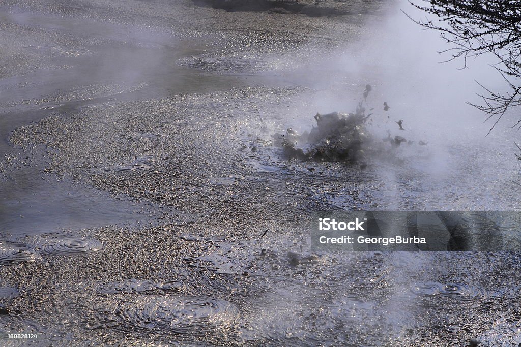 Hot mud geyser Hot mud boiling in the geyser field in Rotorua, New Zealand Beauty In Nature Stock Photo